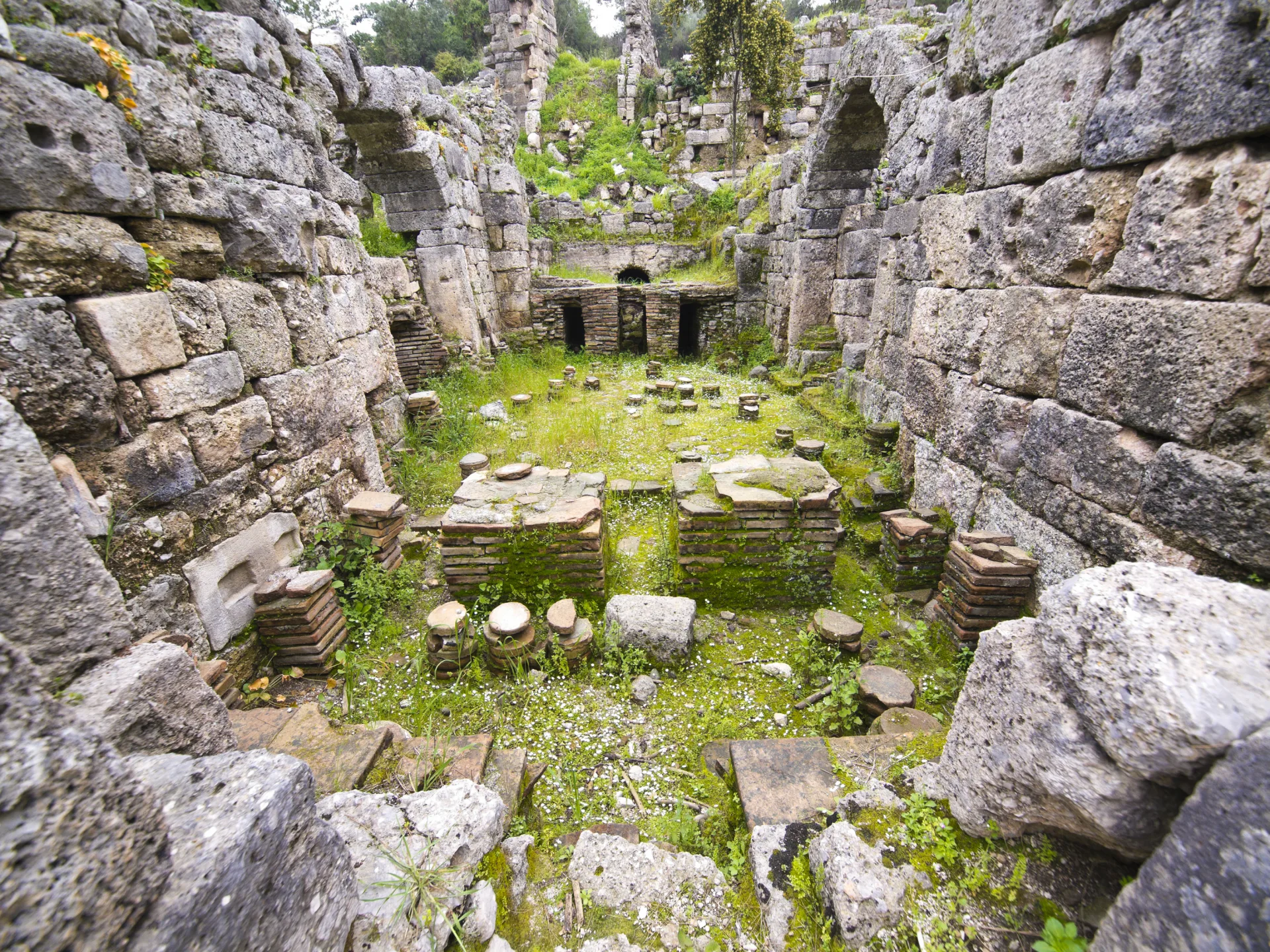 phaselis